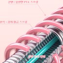 뱃살 쏙 지압 훌라후프 다이어트 실내 유산소 운동 효과 복부 홈트레이닝기구 해본 후기