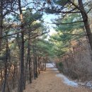 송전길L 이미지