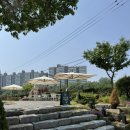 숲속 아지트 이미지