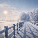 탄금호의 아침 이미지