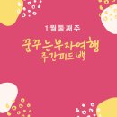 꿈꾸는 부자여행 실전반 주간피드백 강의후기
