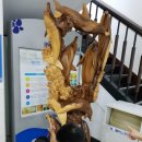 해수워터피아 이미지