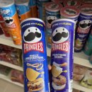 벨리즈 | 벨리즈] 세상 해양 생물 여기 다 몰려있나요,, 도파민 터지는 유네스코 세계자연유산 벨리즈 스노클링 후기