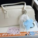 댕스투 | [25年6月] 너 또 도쿄갔어?