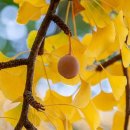 신가동행정복지센터 이미지