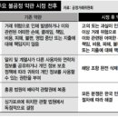 서울R&D 캠퍼스1, 씨제이프레시웨이(주) 서울R&D캠퍼스1 | 2024. 11. 21 일간지 경제뉴스 브리핑