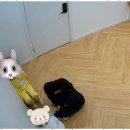 마음숲 이미지