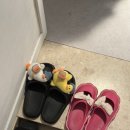 홍말포토 이미지