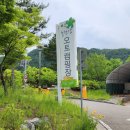 너브내길_1 이미지