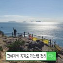 강아지와 욕지도 섬가는법 배편 준비물 애견펜션 정리
