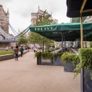 IVY 타워 이미지