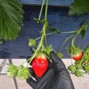 정은농장 이미지