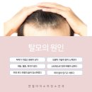 엔젤아이의원 이미지