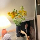 신혼집 집들이선물 추천 시유하다 부츠 화병 후기