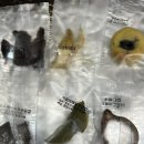 바르다 펫 부산센텀점 네이버블로그
