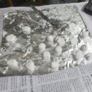 레벨업피씨카페 이미지