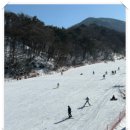 디자인지군 | 무주스키장 렌탈샵 심야스키 렌탈 이용소감