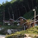 삼주초장 이미지