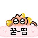 츄카(chuka) 이미지
