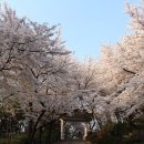 수봉양궁장 이미지