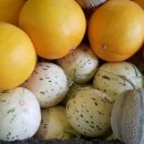 지호축산 이미지