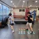 골든보이복싱체육관 이미지