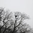 사현마을회관 이미지