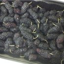 하만농장 이미지