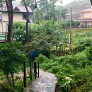 반딧불민박 이미지