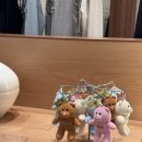 수성로 | 시눈 25FW 신상, 스타필드 수원에서 피팅해본 후기