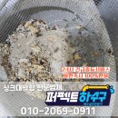 용인 퍼펙트하수구 싱크대 막힘 배관 청소로 해결한 후기