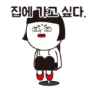 벳소캠프 이미지