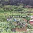 회성동240 이미지