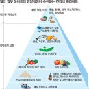 100세 이상 장수하는 노인들의 공통점 6가지 이미지