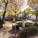 신안주씨 삼세적선비 이미지