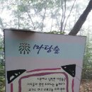 옥성자연휴양림 이미지