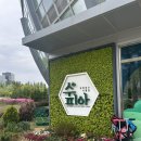 노외주차장↔웃말어린이공원 | 부천 식물원 수피아 생각보다 실망했던 후기 웨이팅 주차장