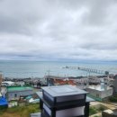 청춘펜션 이미지