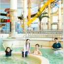 pet 371다2458 | 천안 소노벨 워터파크 가격·할인·준비물 총정리! (외부음식·카바나·구명조끼 꿀팁)