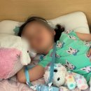 사과나무유치원 | 6월 1주차 주간일기 텃밭 모종 심기