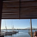 인싸피시 이미지