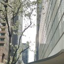 뉴욕 신혼여행 미슐랭 레스토랑 MOMA The modern 더모던 페어링