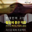 어성초영농조합법인 이미지