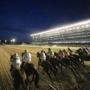 경마공원대로 이미지