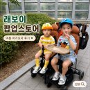 씨티모자 - 중구 남대문시장8길 26 | 천안 갤러리아 래보이(RABBOY) 팝업, 여름 아기모자 구매 후기