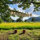 산외면행정복지센터 이미지