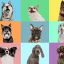 연암대학교 이미지