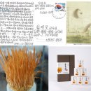 대상포진이래요.