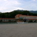 보장초 이미지