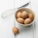 세이스파 네이버블로그
